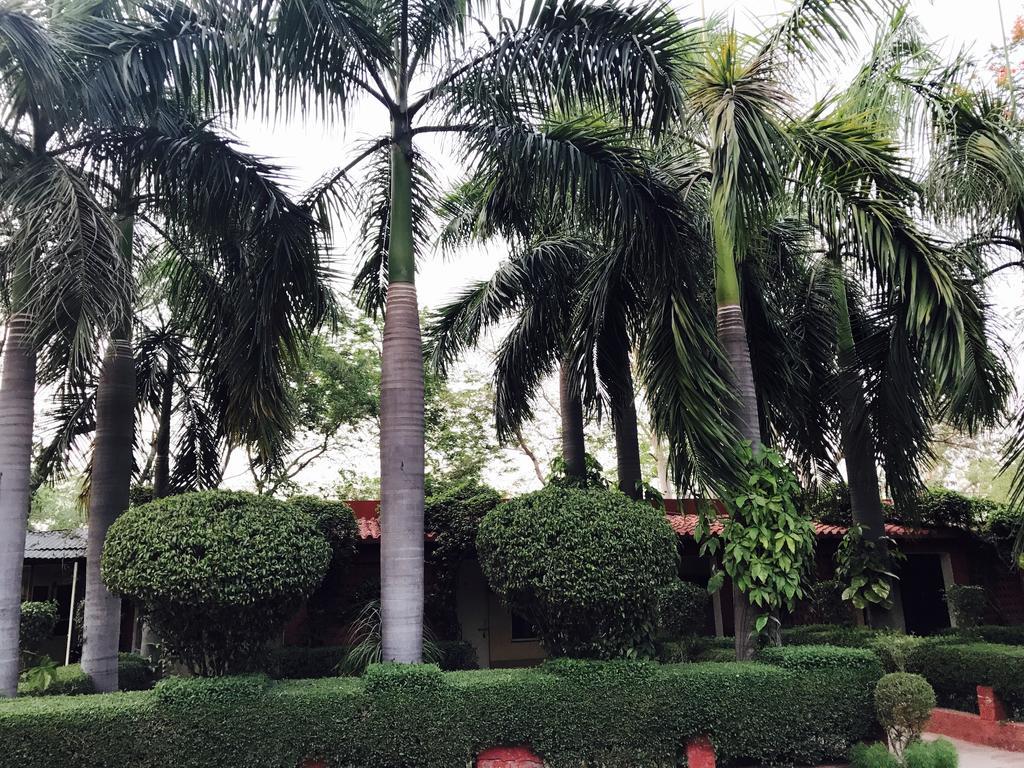 Hotel Sheela, 100M From Taj Mahal Агра Экстерьер фото